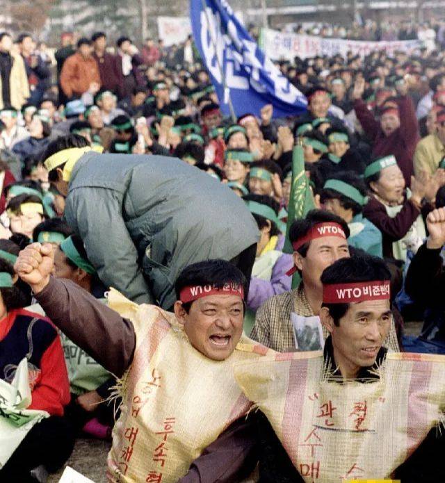 一颗白菜折合人民币105块：韩国人，真的饿死也不吃“外国菜”？