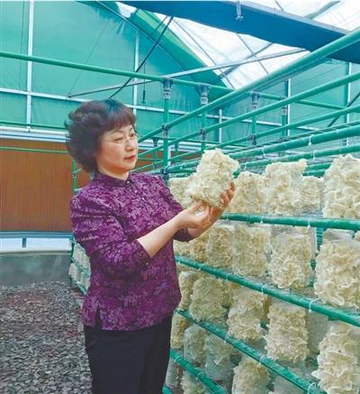 “菇姐”的电话，成了菇农的咨询热线