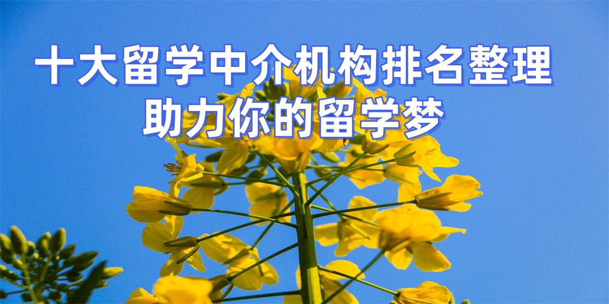 济南的留学中介有哪些