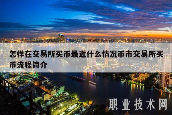 国内usdt可以买币吗(usdt在什么平台上可以买)